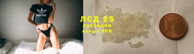 PSILOCYBIN Белоозёрский