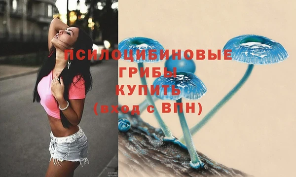 PSILOCYBIN Белоозёрский