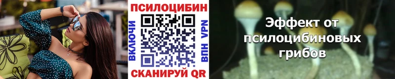 закладка  ОМГ ОМГ вход  площадка Telegram  Шахунья  Псилоцибиновые грибы мицелий 